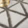 Geometric Indoor Rug