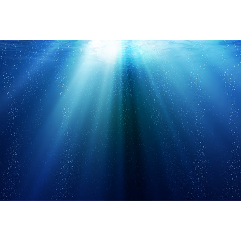 Under The Sea by MC_Noppadol - Wrapped Canvas Print, 30cm H x 46cm W x 3.8cm D