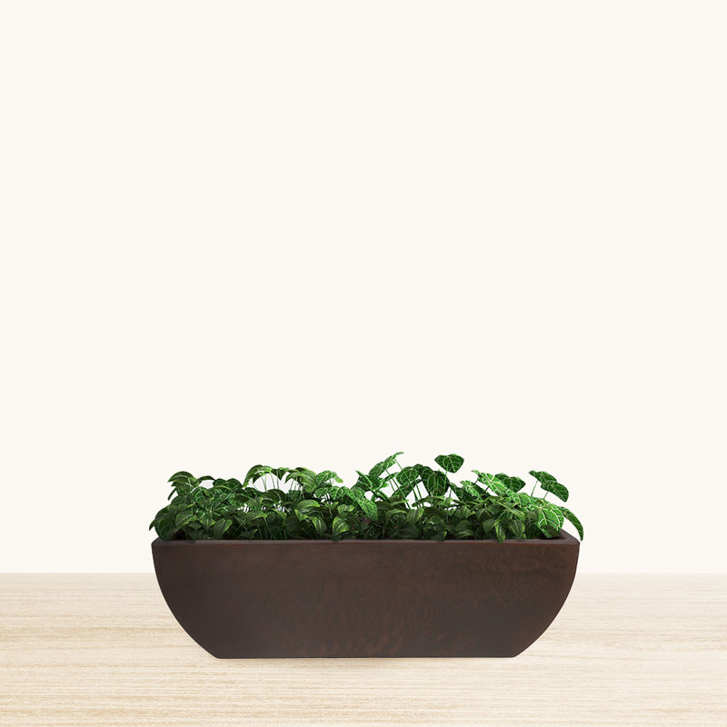 Wibrand ECOBO Pot de fleurs rectangulaire d'intérieur / extérieur Capri, Brun, 1
