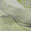 Tapis vert Cerrito AMF506 lavable à la machine de qualité supérieure-103831618