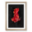 Red Siamese Fighting Fish - Picture Frame Graphic Art Print-56857368-56857369
