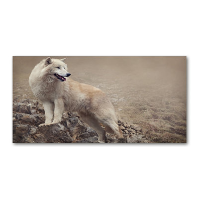 White Wolf On The Rock - Wrapped Canvas Print