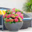 Reinforced Stone Bowl Planter, Lightweight Frostproof Outdoor Plant Pot, Bonsai Pot, Garden Planter with Drainage Holes, Alpine Shallow Planter-1167350049-1167350048