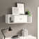 Skailar 2 Piece Floating Shelf