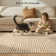 Celeta Abstract Rainbow Striped Area Rug - Colorful Modern Carpet for Living Room, Bedroom, or Office Decor