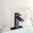 Single-Hole Single-handle Bathroom Faucet with Drain Assembly-100754280