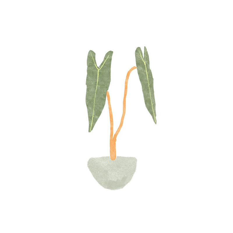 Philodendron Billietiae I 1 Piece Wrapped Canvas Wall Art, 93.98 cm H x 93.98 cm W x 1.91 cm D