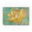 « la belle fleur ii », reproduction d’impression sur toile tendue-32707114