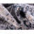 Transitional Gaastra Area Rug Forest Color-1308401304