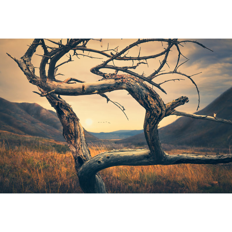 Wrapped Canvas Print, 60.96 cm H x 91.44 cm W