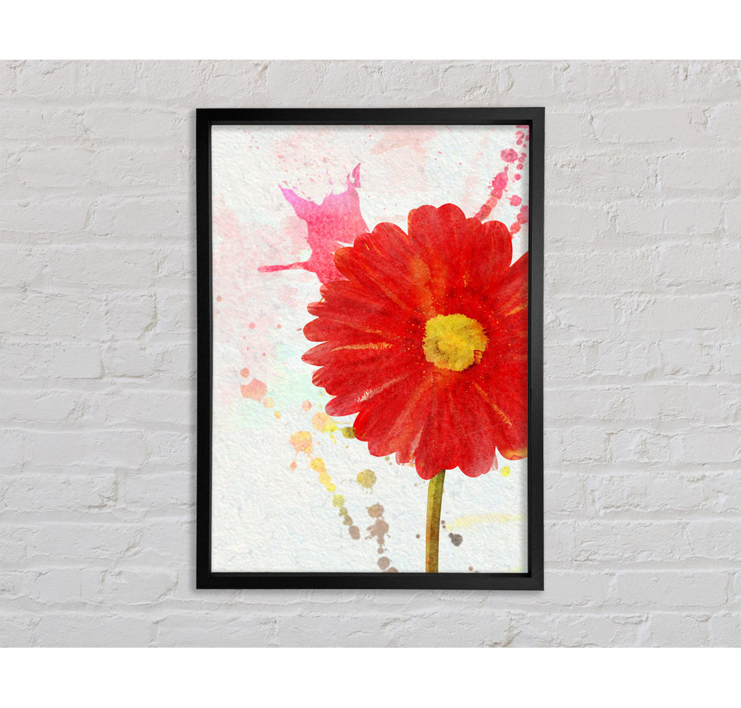 Gerbera Splash - Einzelner Bilderrahmen Kunstdrucke auf Leinwand