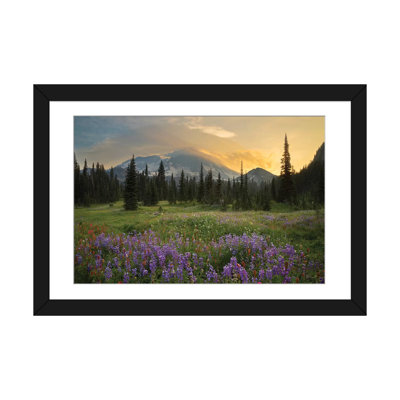 " Mountainside Landscaper, Indian Henry's Hunting Ground, Mount Rainier National Park, Washington, USA " by Gary Luhm