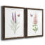 «Wildflower Botanical I», ensemble de 2 reproductions d'art-923653541-923653542-808463890