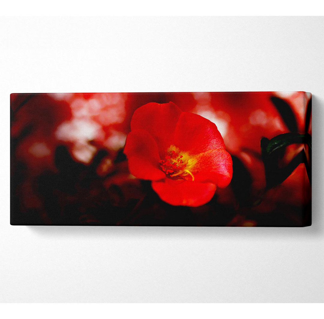 Kirschrot - Kunstdrucke auf Leinwand - Wrapped Canvas