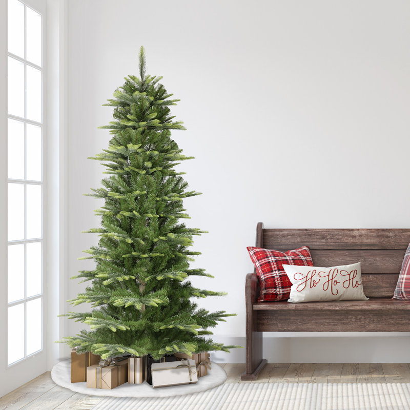 78' Pine Christmas Tree