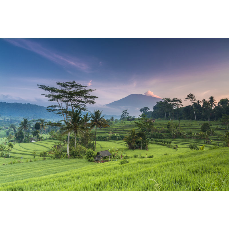 Terrasse de rizières à Bali par Joakimbkk, H 20 po x l 30 po