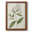 Toile encadrée de qualité supérieure Antique Botanical Collection-159278324