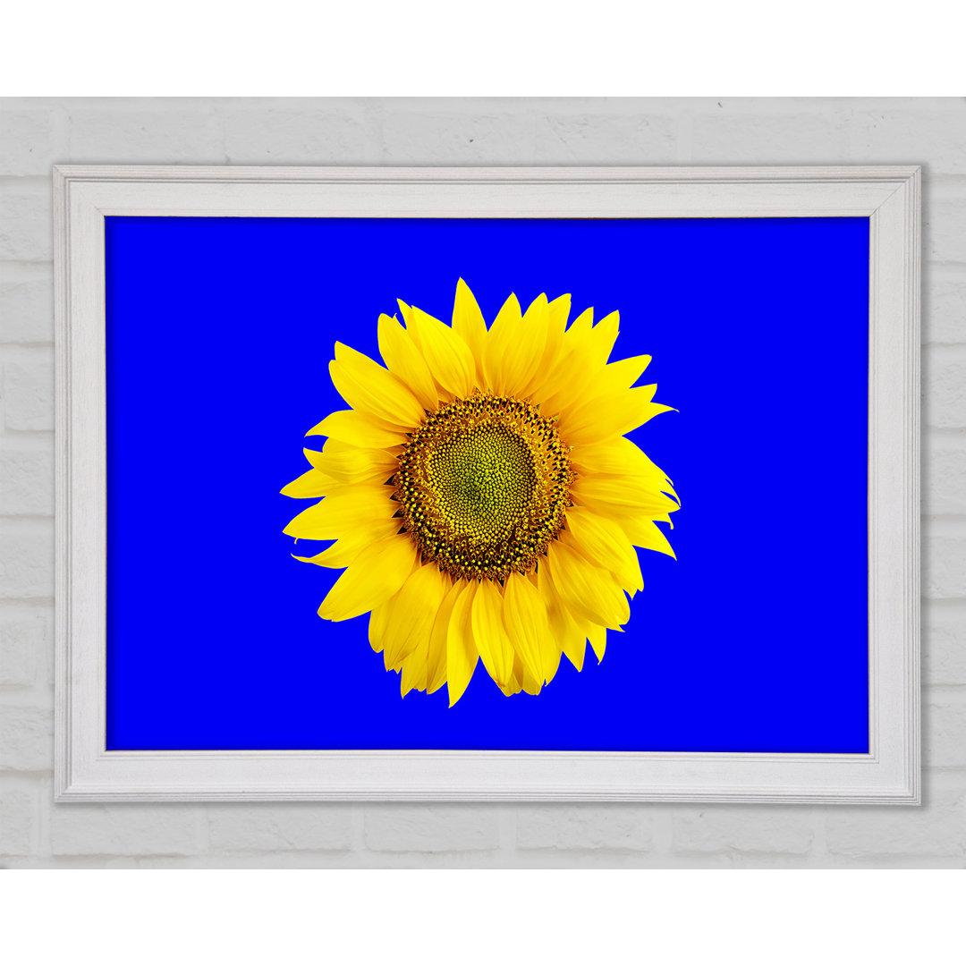 Sonnenblumenkopf auf Blau - Druck