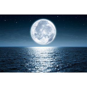 Full Moon - Wrapped Canvas Photograph