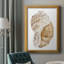 Seashell I - Peinture sur toile encadrée-244863811