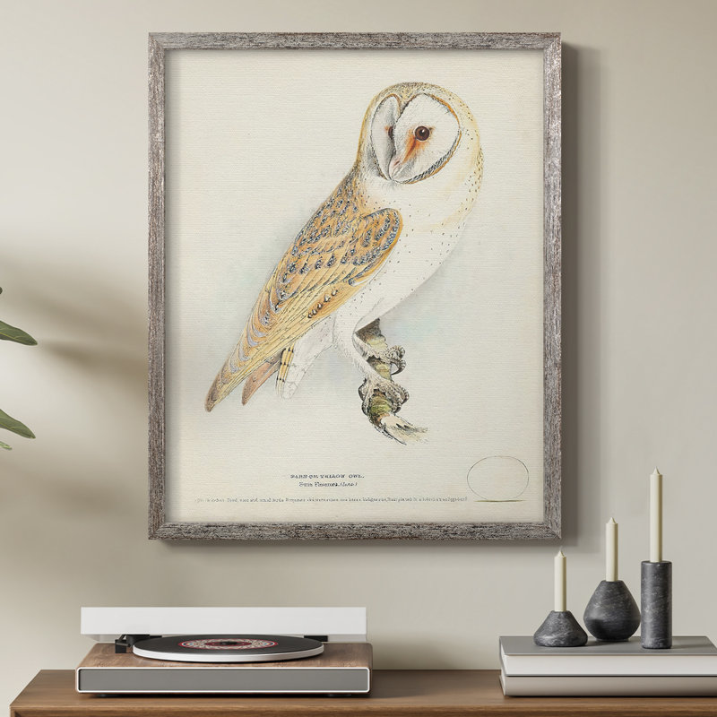Barn Owl Framed Print - Solid Wood