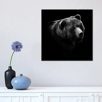 Bear In Black And White II by Lukas Holas - Wrapped Canvas Print