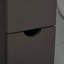 Suyapa Freestanding Bathroom Cabinet