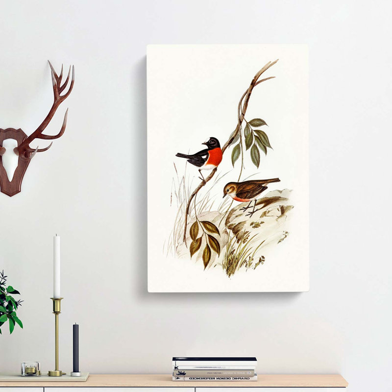 Norfolk Island Robin by Elizabeth Gould - Wrapped Canvas, 60cm H x 40cm W x 3cm D