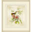 Brilliant Hummingbird Collection 2 Print