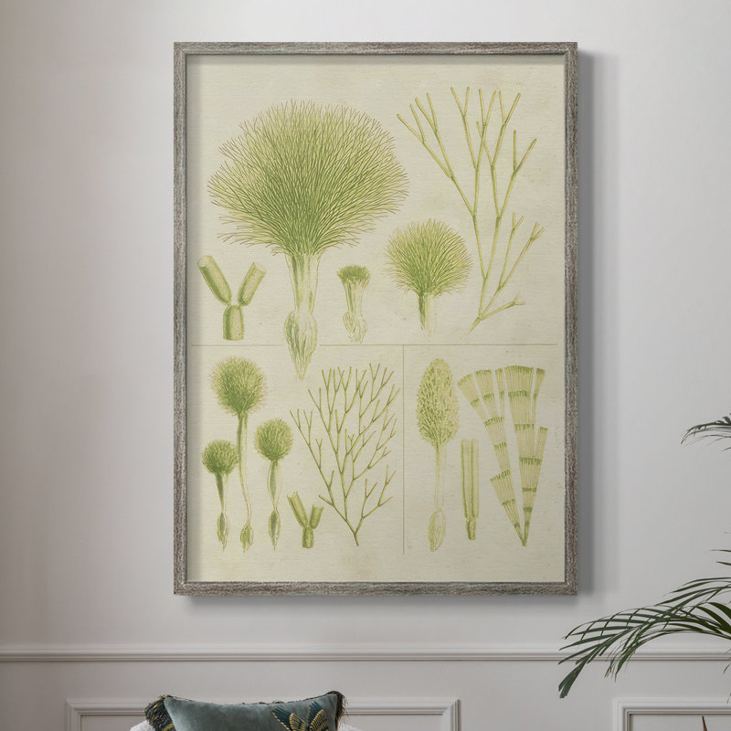 «Vintage Sea Grass III», reproduction encadrée - bois massif, H 11 po x l 9 po