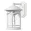 Hollydale White Outdoor Wall Lantern-307935953