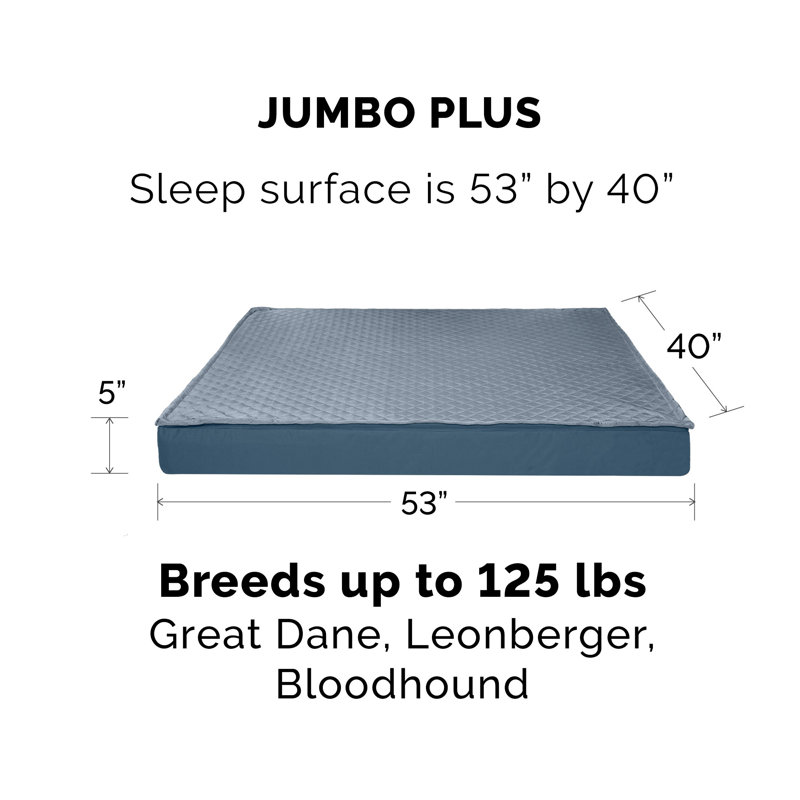 Orthopedic Polyester Pet Bed, Calm Blue, Jumbo Plus (53" W x 40" D x 5" H)