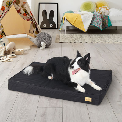 Deanesha Orthopedic Pet Bed