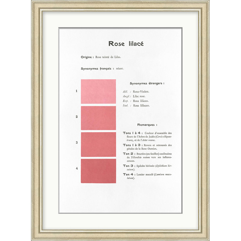 Pink 3 Print by Danielle Rollins