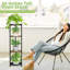 Annalyn Plant Stand