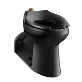 Anglesey™ 1.6GPF Elongated Flushometer Toilet (Seat Not Included)