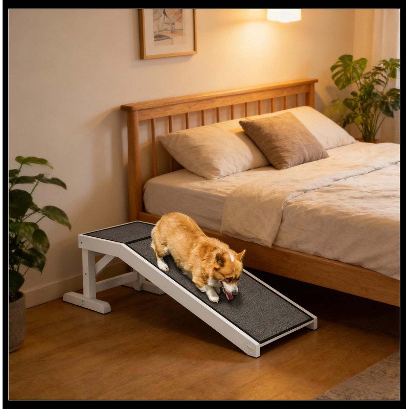 Rampe pour chien, rampe pour animal, 14" H x 49.3" W x 15.8" D