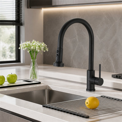 ROBOHIGH Kitchen Faucet Side Spray
