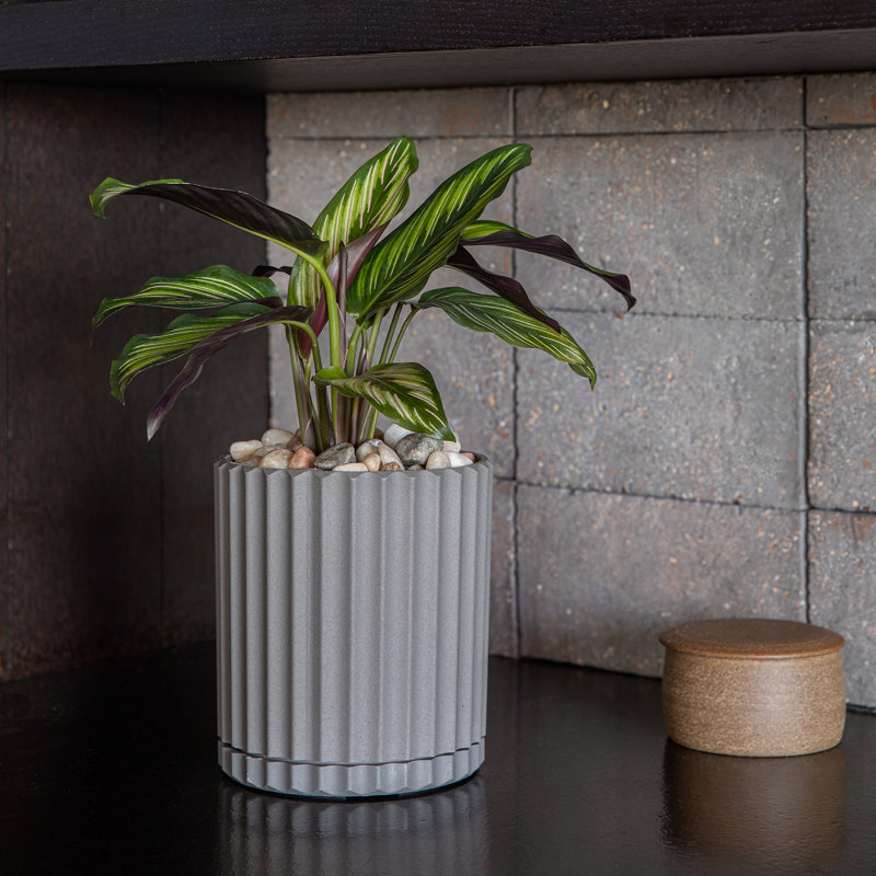 Pot à fleurs 6 "Veradek Demi Series, gris, 1
