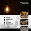 Valazquez 4 W G95 LED Smart Bulb