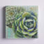 Succulents II, art mural sur toile-1375837887-1375837879
