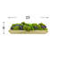 Sedum and Moss Arranged in Wood Planter-1619821989