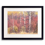 Swan Valley Autumn Portrait #3 Print by Bruce Heinemann