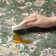 Floral Green Non-Slip Washable Area Rug