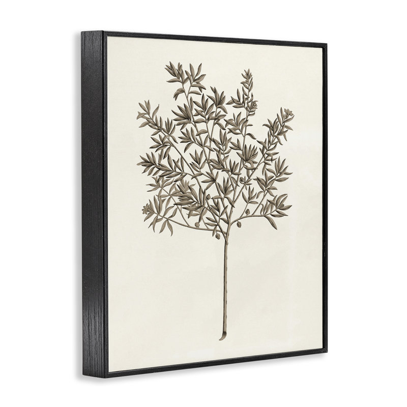 Giclée encadrée vintage, étude par Phillipa Katz, H 20 po x l 16 po, Giclée encadrée noir minuit