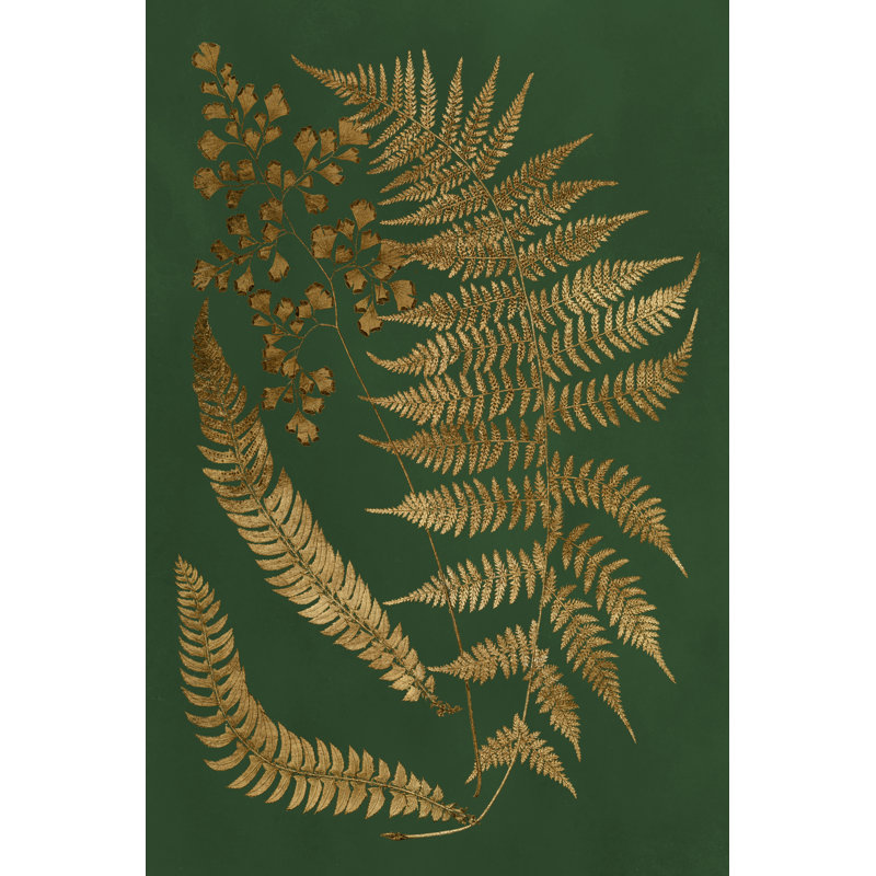 Gilded Ferns I - Wrapped Canvas Print, 46cm H x 30cm W