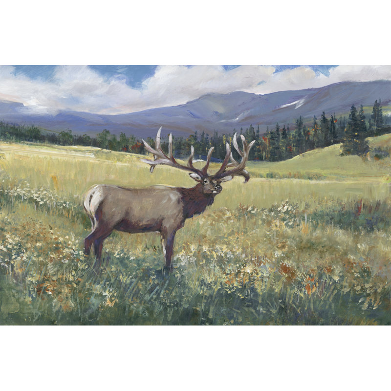 Élan des montagnes Rocheuses I, H 24 po x l 36 po x P 1,25 po