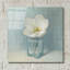 «Single White Tulip» par Danhui Nai, art mural en verre acrylique-579487811