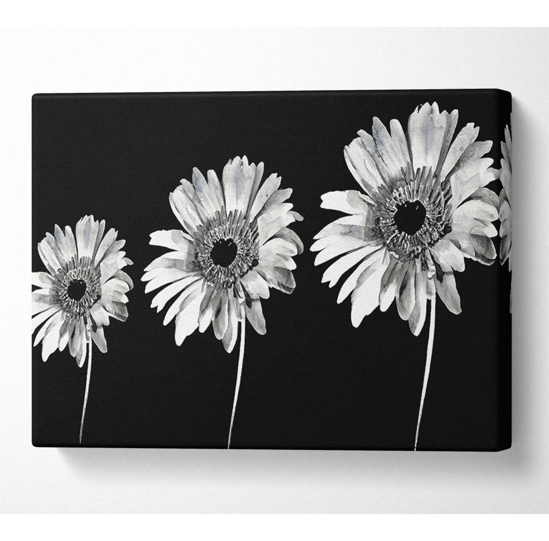 Gerbera Gänseblümchen Schwarz und Weiß - Kunstdrucke auf Leinwand