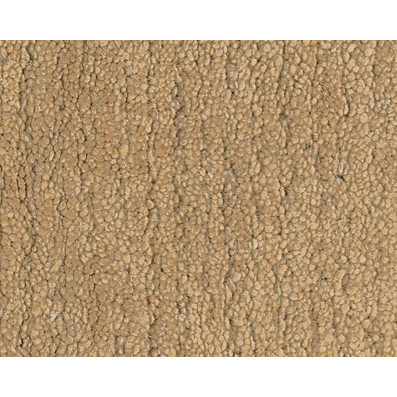Sprouts Wool Area Rug in Beige, Rectangle 2' x 3'